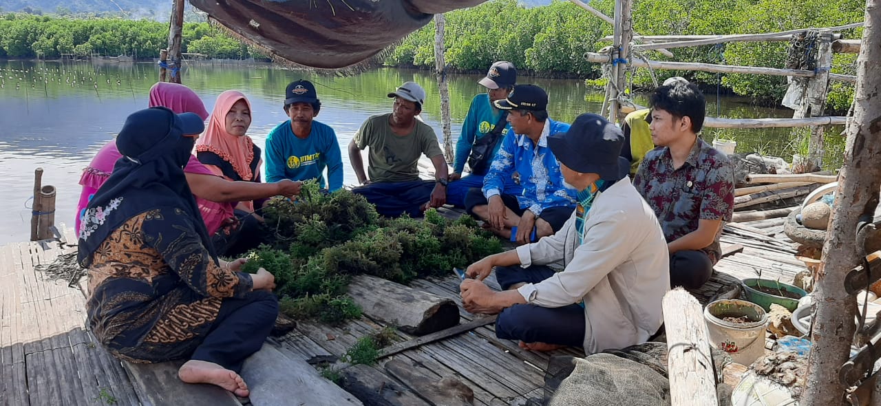 Foto saat tim perikanan budidaya berkunjung ke pembudidaya rumput laut
